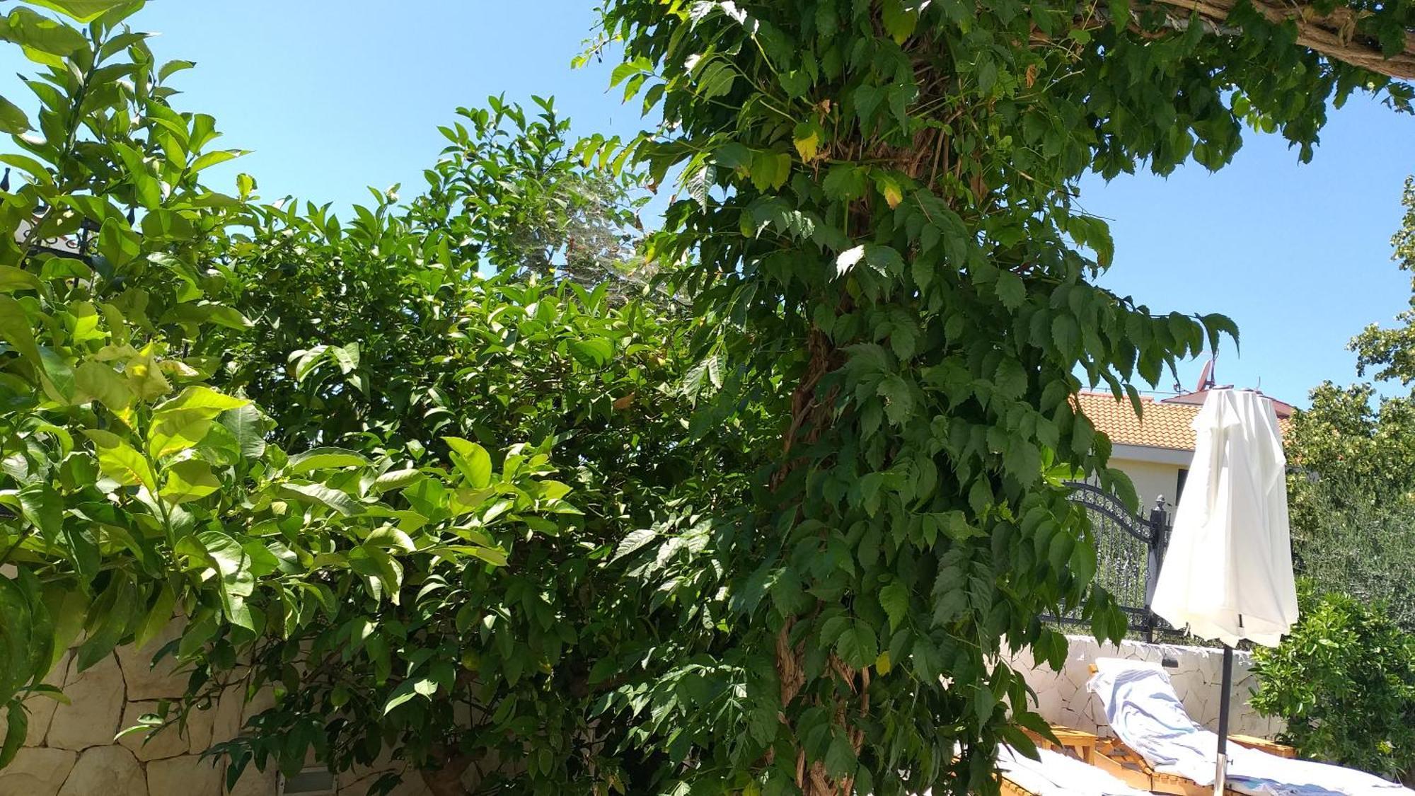 Villa Mira Trogir Oda fotoğraf